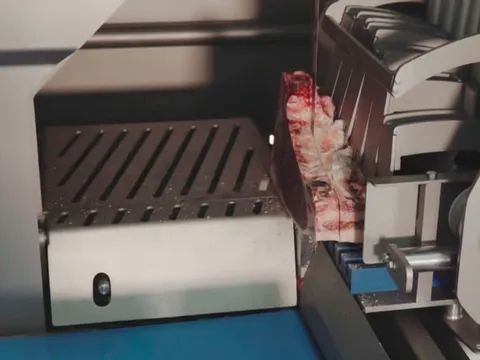 Ferăstrău automat cu bandă și tăiere dublă PW-SAW DCS — fotografia 2