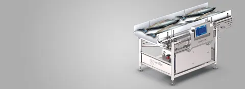 Cântar de flux Flowscale