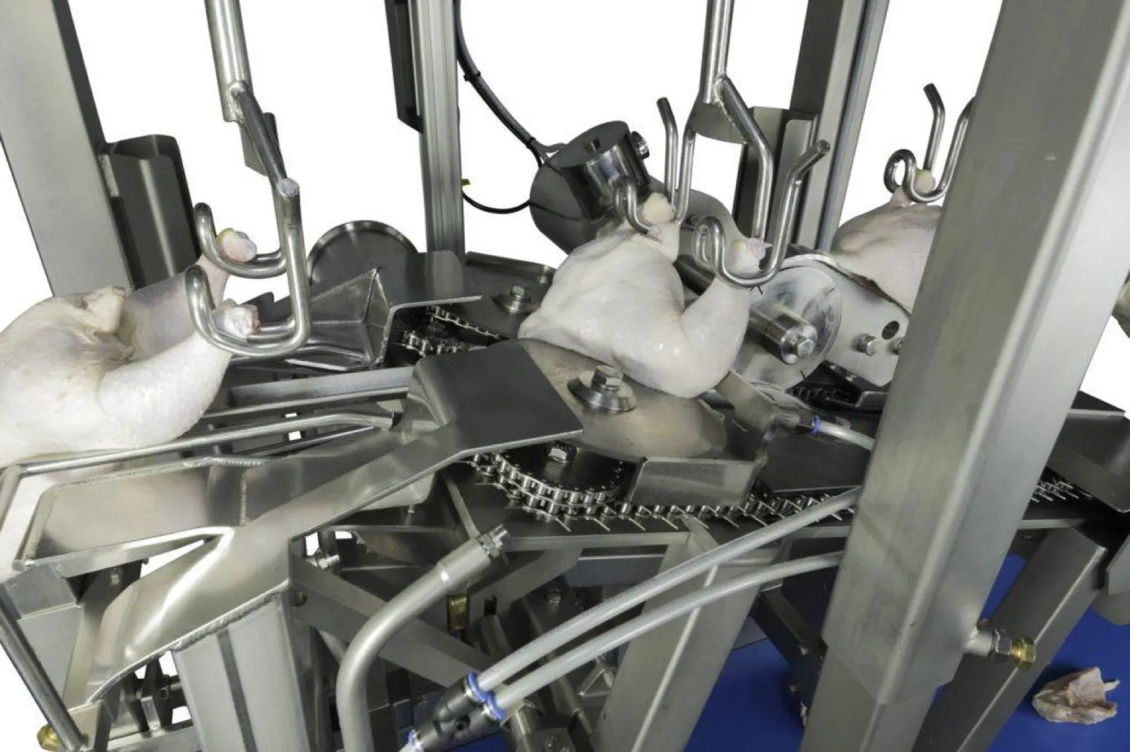 Modul de procesare a pieptului Breast Processor