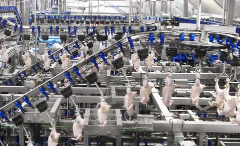 Sistem flexibil de tranșare pasăre Flex Cut-up System