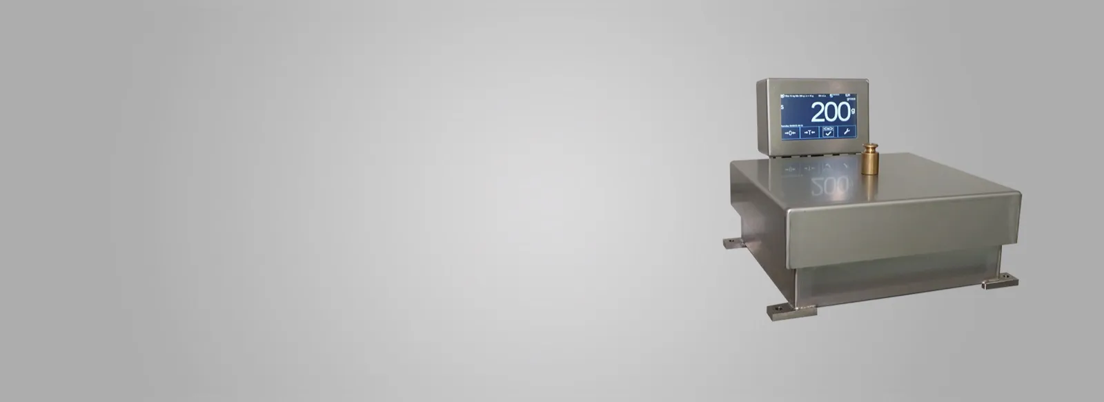 Indicator de cântărire D6B