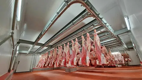 Sistem de cale dublă (Twin Track) din aluminiu