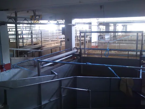 Țarc automat pentru ovine — fotografia 3