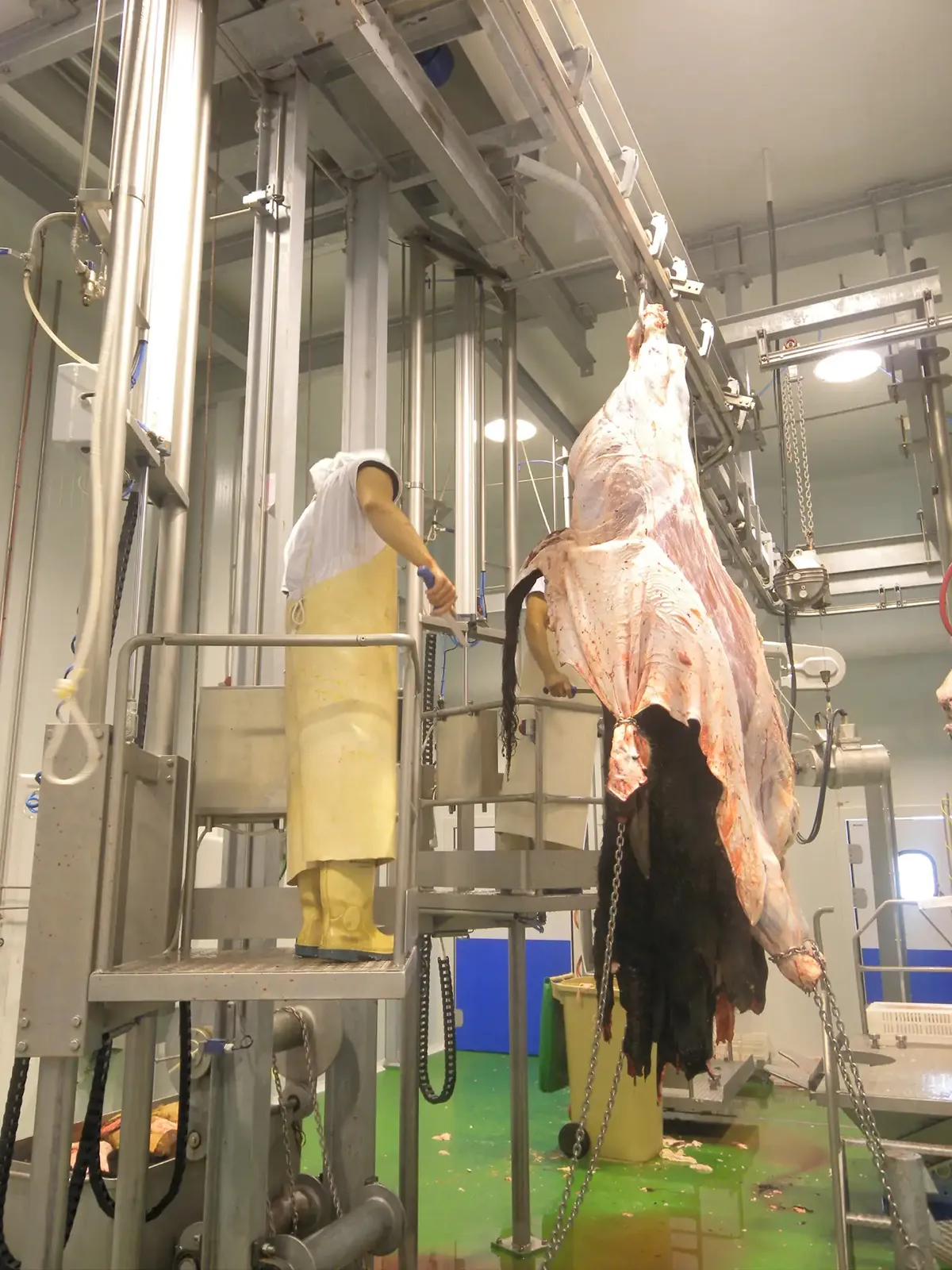 Platformă pentru jupuirea bovinelor