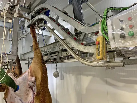 Sistem de transfer pentru bovine