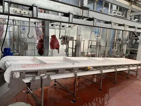 Bandă transportoare pentru organe albe de bovine — fotografia 4
