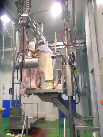 Platformă pentru organe albe bovine — fotografia 4