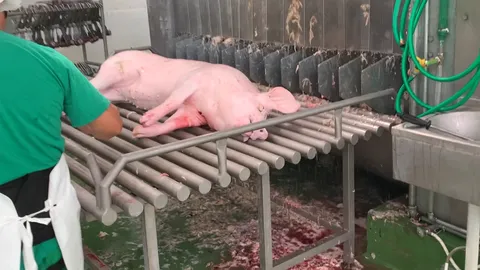 Masă statică de curățare și agățare