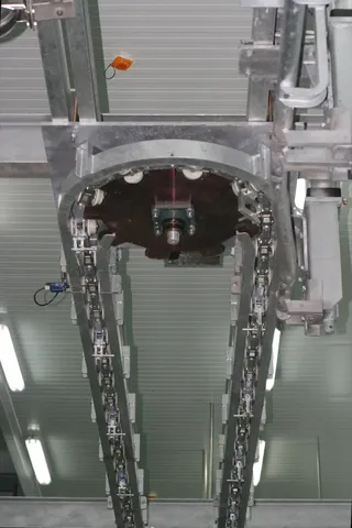 Transportor orizontal de eviscerare porci