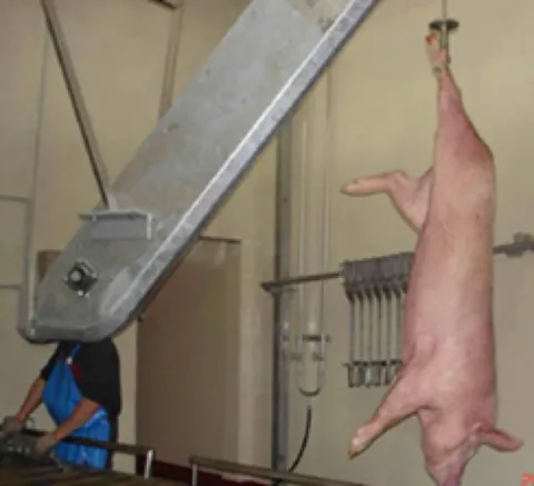 Elevator de sângerare pentru porci — fotografia 4