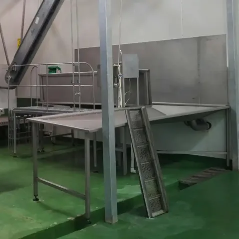 Cuvă de sângerare porci
