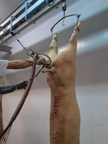 Pistol de tăiat rect (bung) pentru porci — fotografia 4
