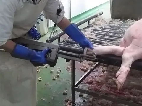 Dispozitiv manual de îndepărtat unghii la porci — fotografia 4