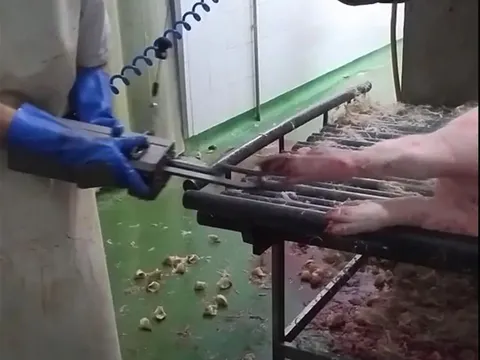 Dispozitiv manual de îndepărtat unghii la porci — fotografia 5