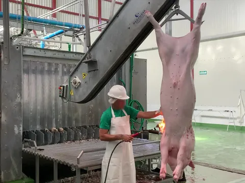 Cârlig-distanțier din aluminiu pentru porci — fotografia 2