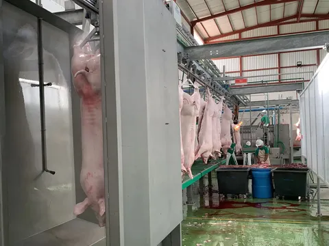 Cârlig-distanțier din aluminiu pentru porci — fotografia 4