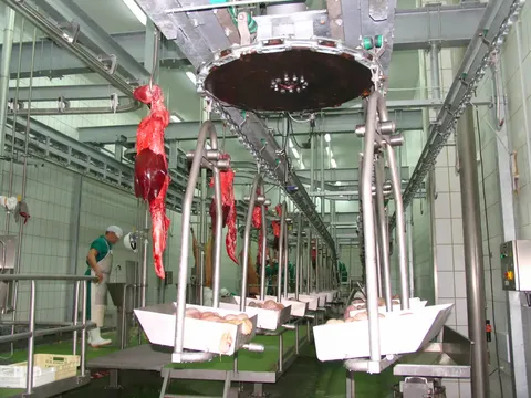 Transportor de organe roșii de porc — fotografia 5