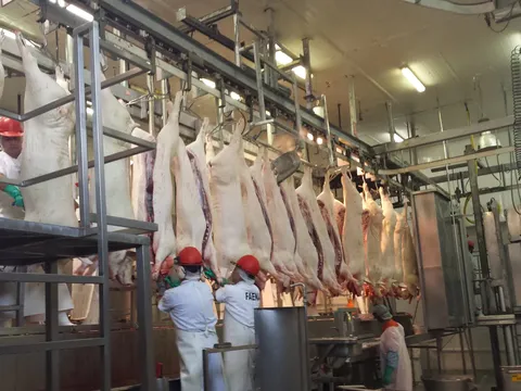 Cârlig dublu (gambrel) din inox pentru porci — fotografia 4