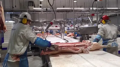 Ferăstrău circular pentru tranșare primară porci — fotografia 2