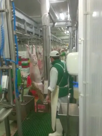 Cârlige-cruce (gambrel) din inox pentru ovine — fotografia 5