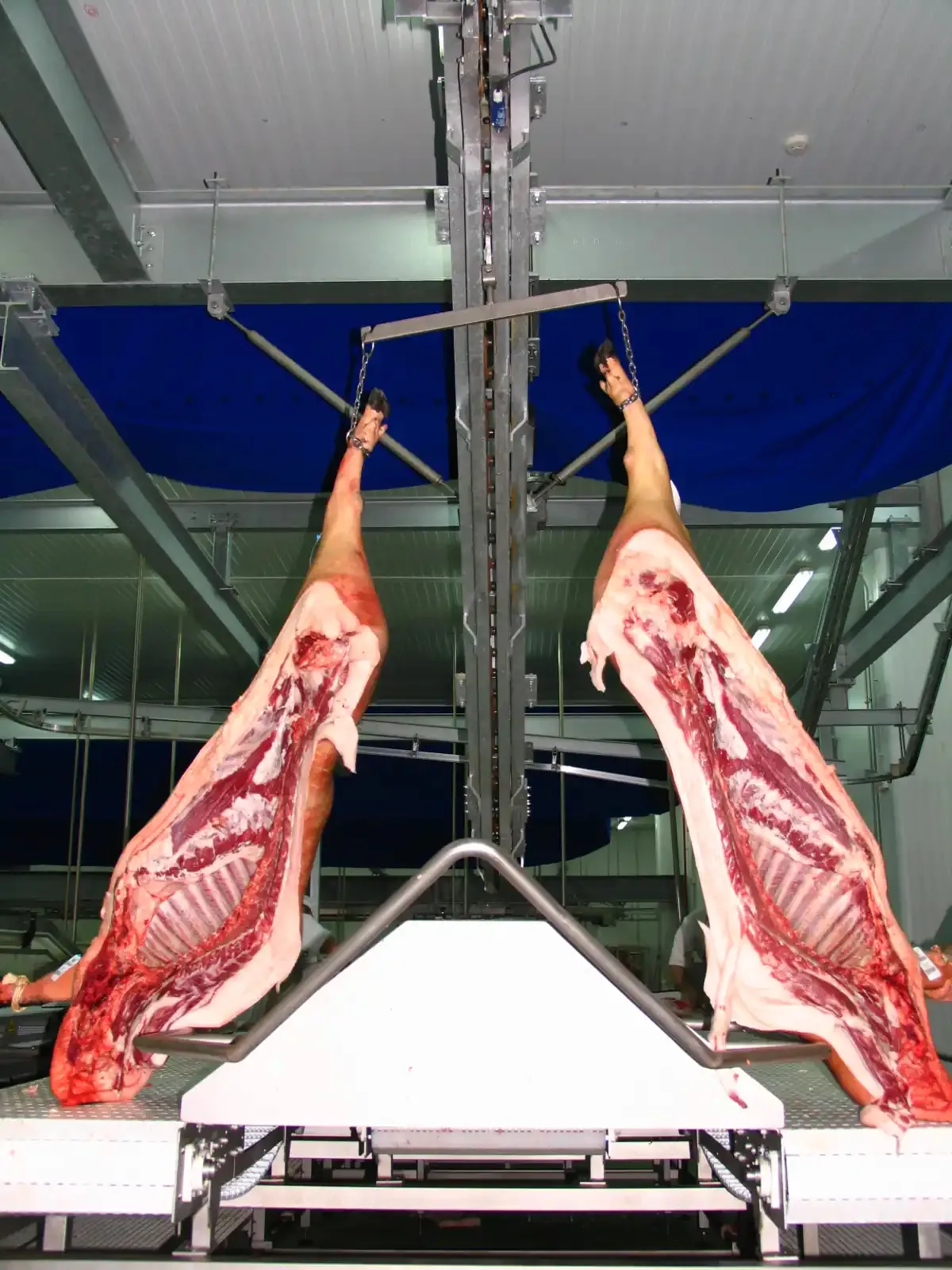 Coborâtor de carcase în V