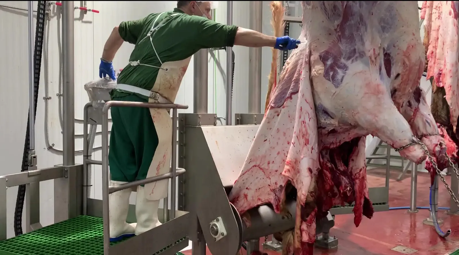 Mașină de jupuit bovine V40