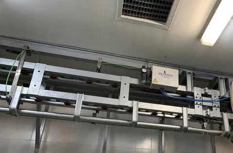 Transportor vertical de eviscerare pentru porci — fotografia 3