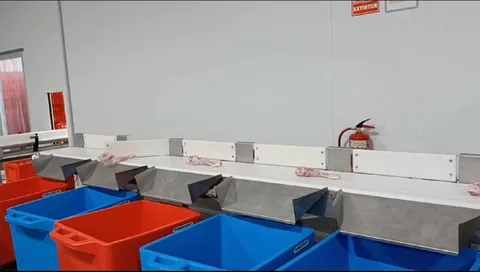 Sortator gravimetric — fotografia 4