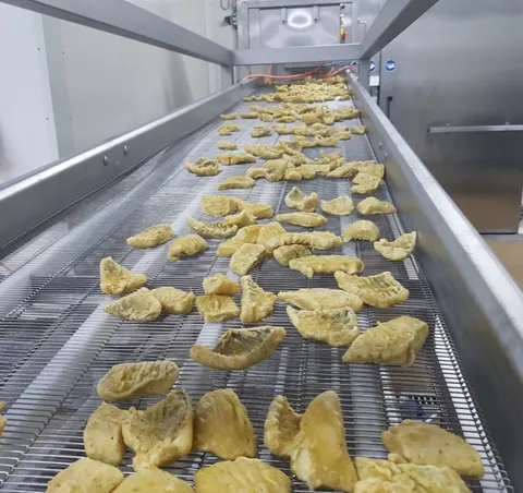 Friteuză continuă pentru convenience food SFE / SFT — fotografia 9